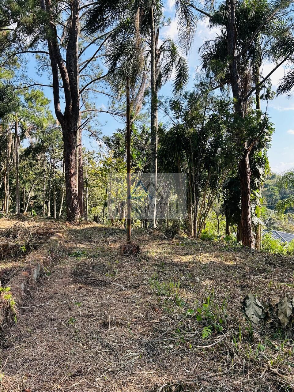 Terreno, 1600 m² - Foto 10