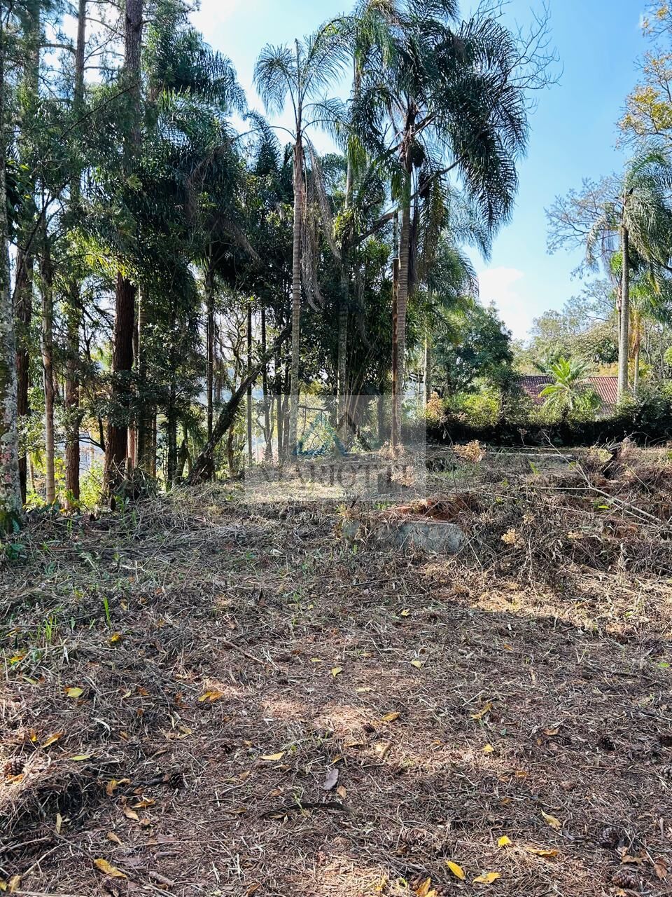 Terreno, 1600 m² - Foto 1