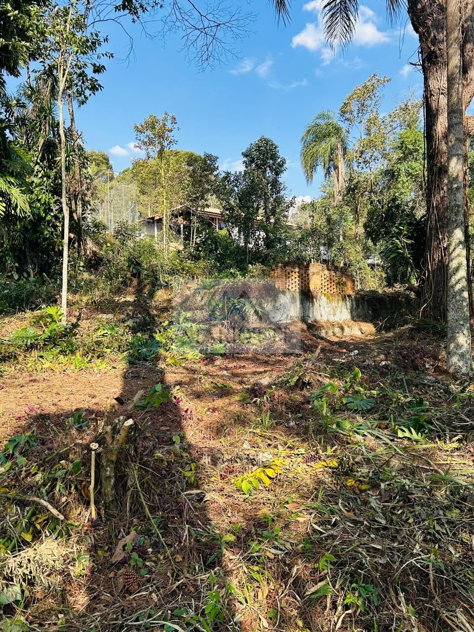 Terreno, 1600 m² - Foto 5