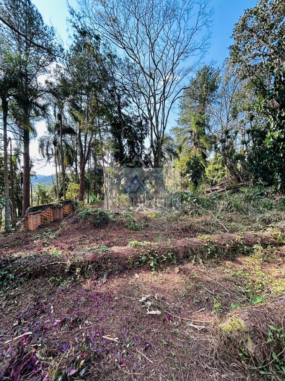 Terreno, 1600 m² - Foto 13
