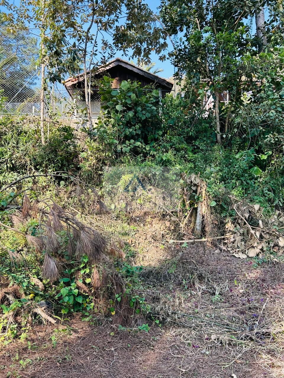Terreno, 1600 m² - Foto 14