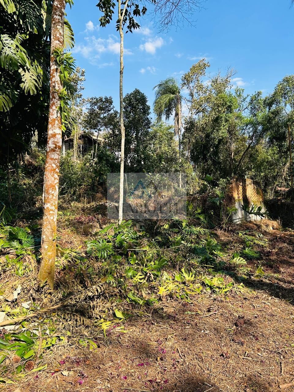 Terreno, 1600 m² - Foto 8