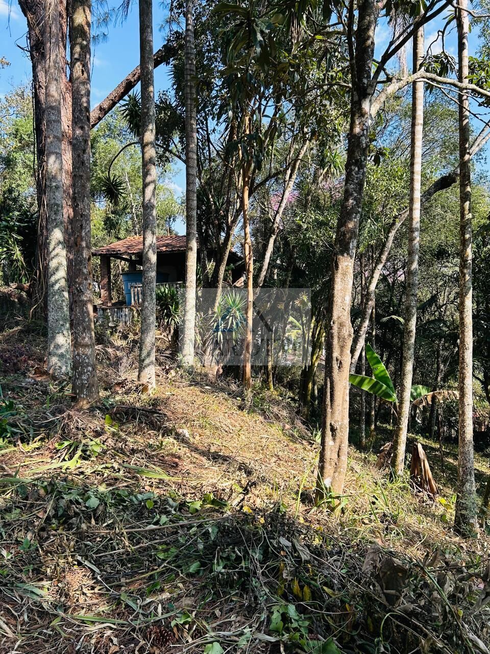 Terreno, 1600 m² - Foto 6