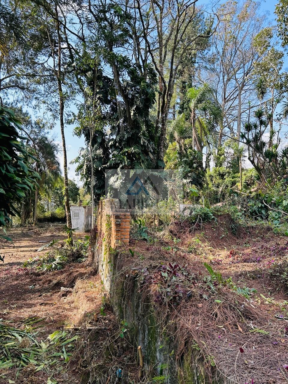 Terreno, 1600 m² - Foto 12
