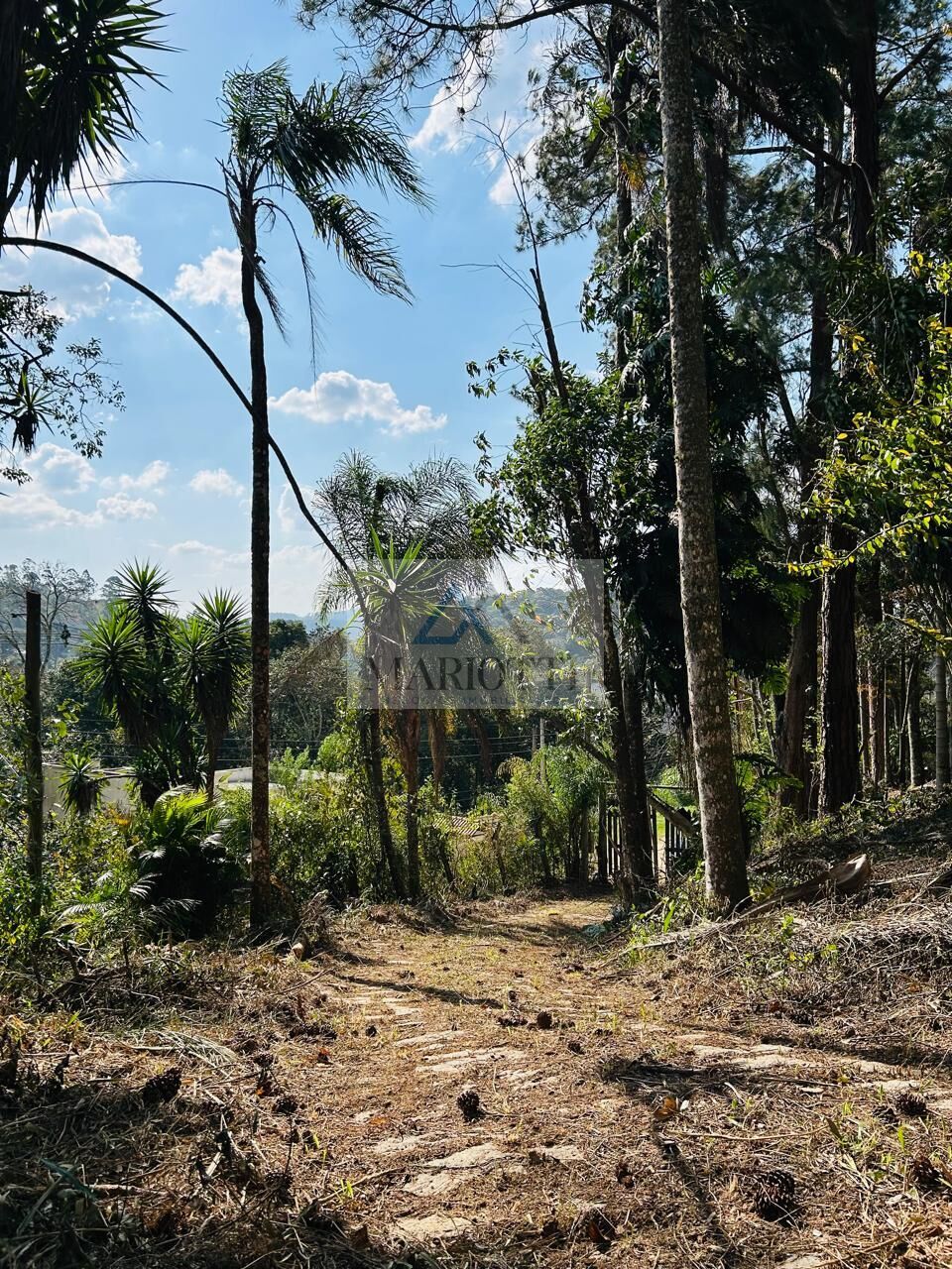 Terreno, 1600 m² - Foto 19