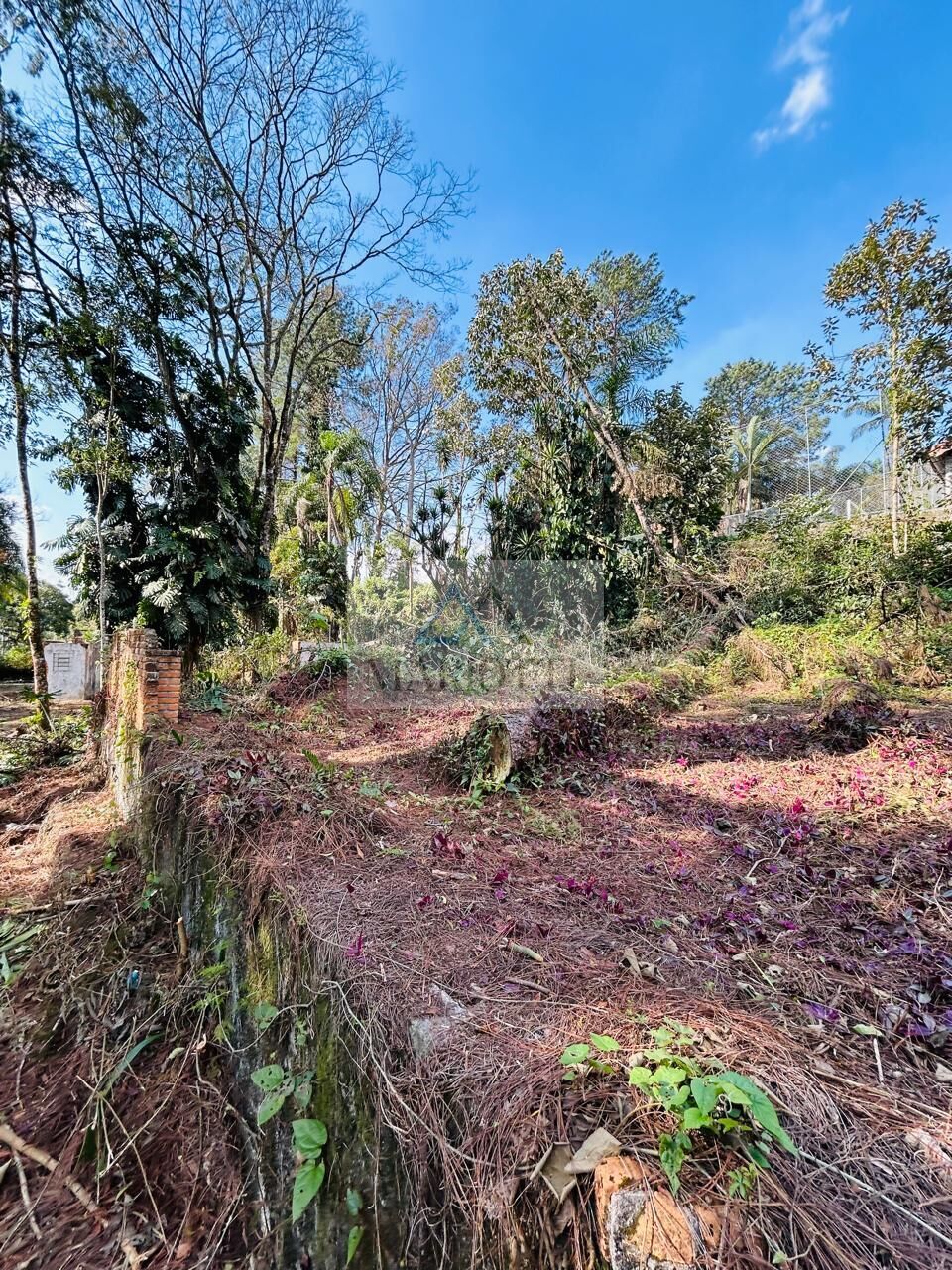 Terreno, 1600 m² - Foto 2
