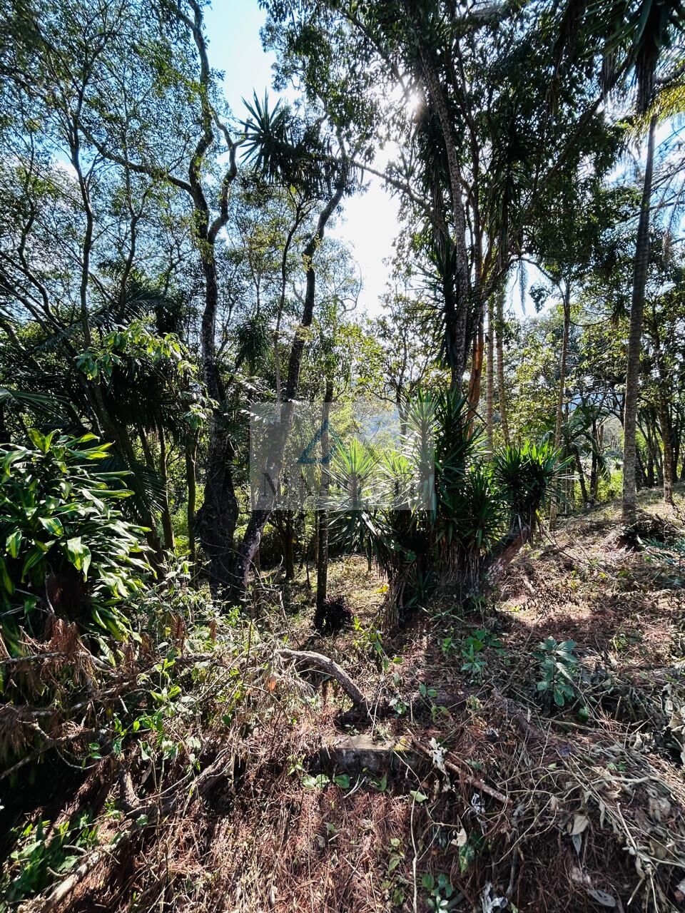 Terreno, 1600 m² - Foto 11