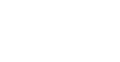 Leonardo A Tavares