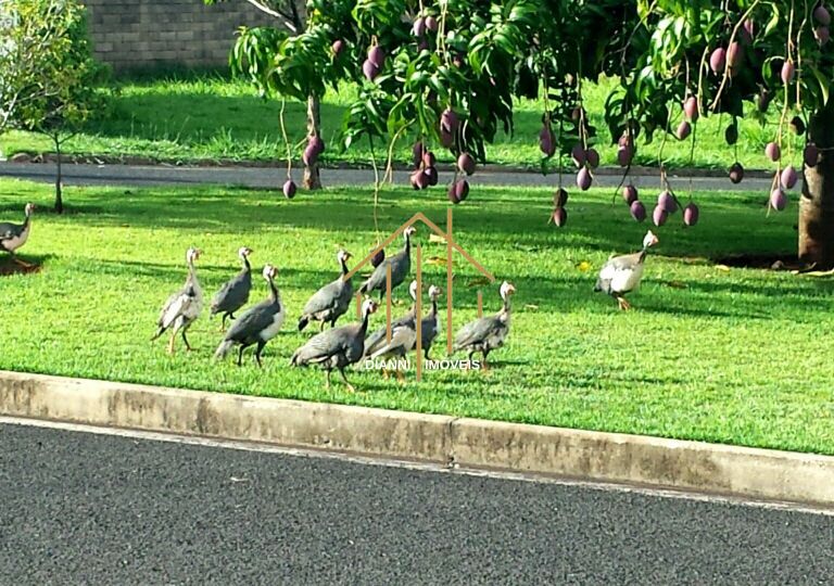 Casa de Condomínio com 3 quartos à venda, 234m² — foto 39 de 42