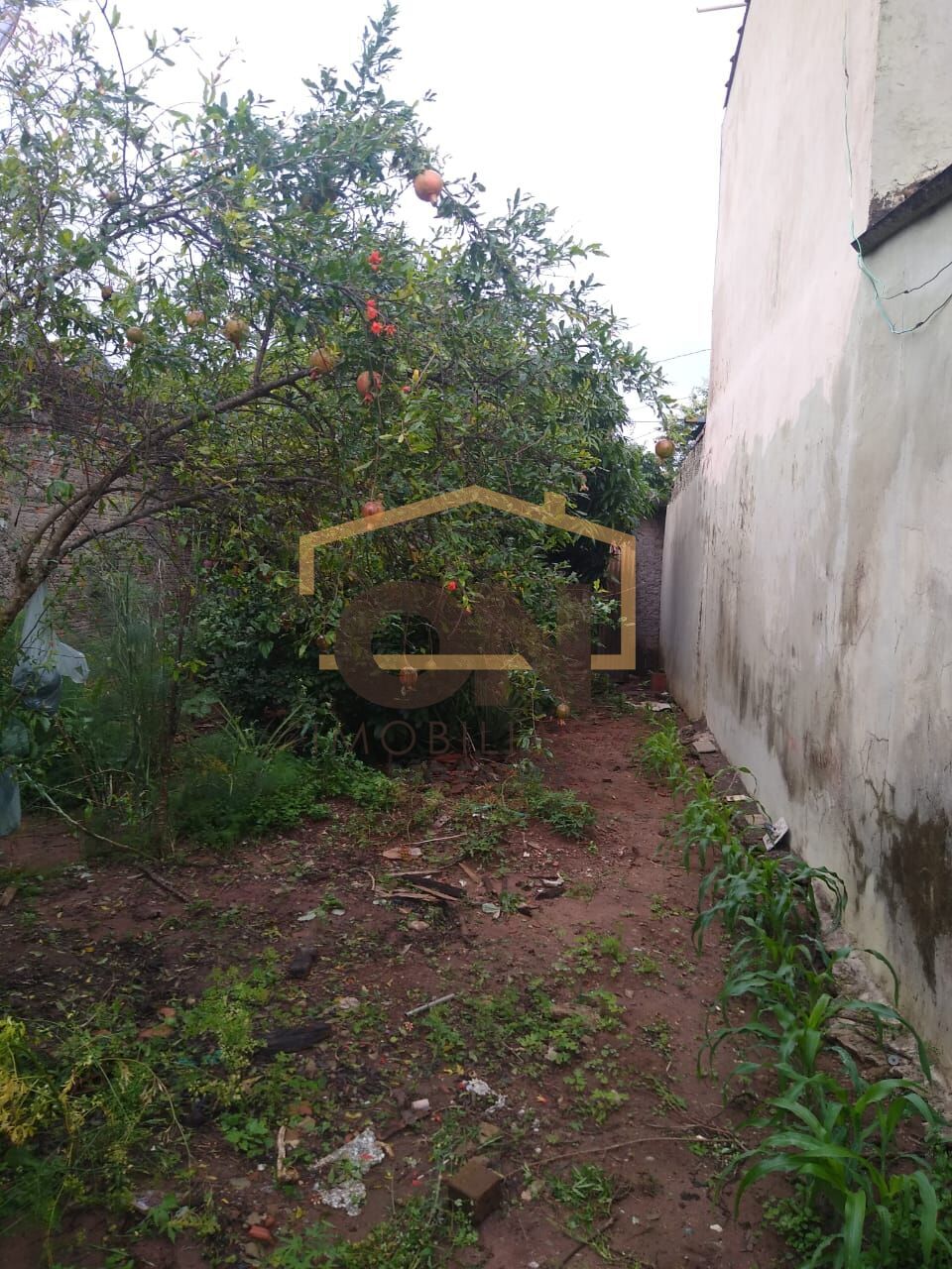 Imagem principal do imóvel