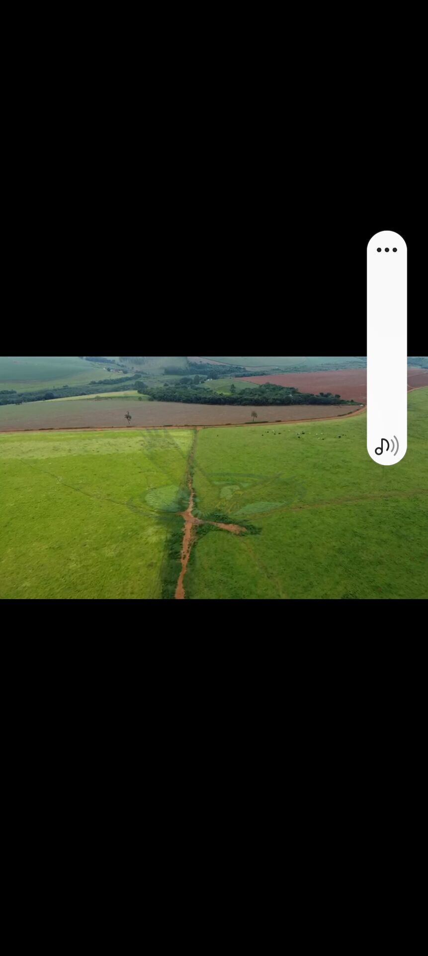 Fazenda, 218 hectares - Foto 4