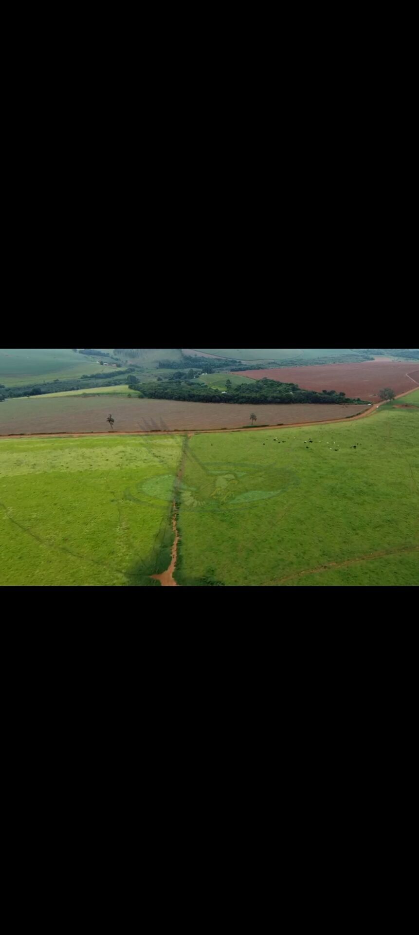 Fazenda, 218 hectares - Foto 6