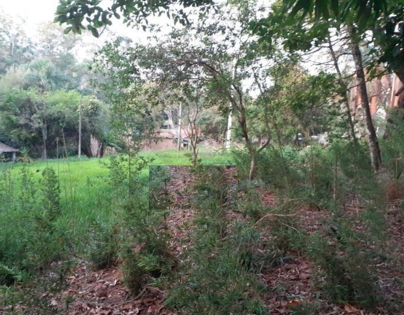 Terreno, 4377 m² - Foto 6