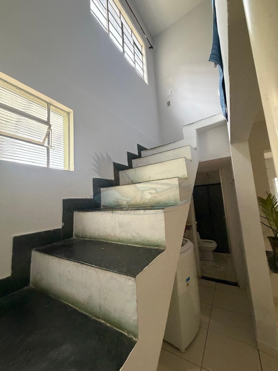 Casa, 4 quartos, 266 m² - Foto 5