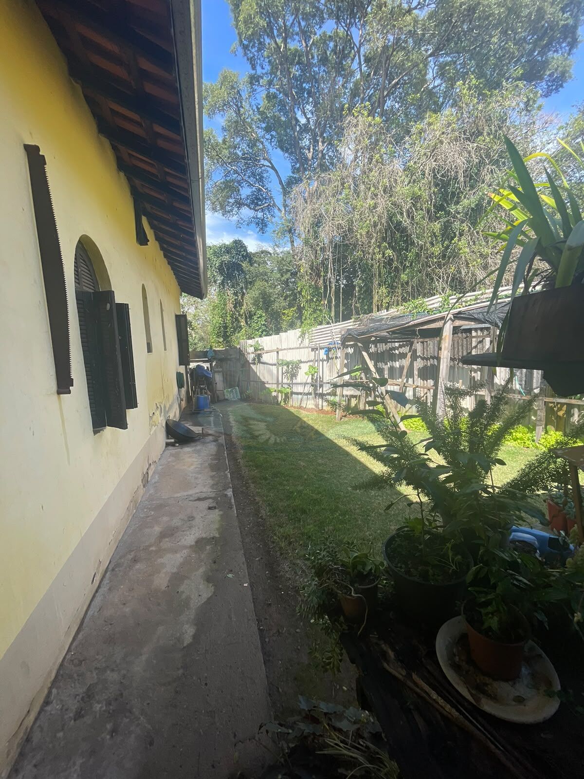 Sítio, 3 quartos, 2386 m² - Foto 13