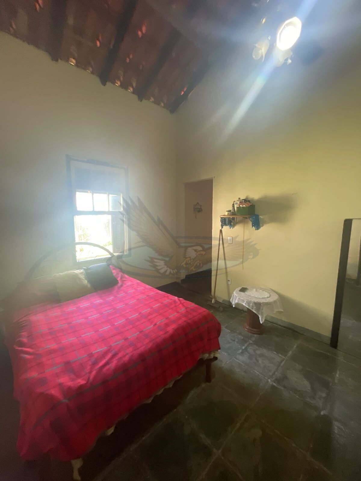 Sítio, 3 quartos, 2386 m² - Foto 9