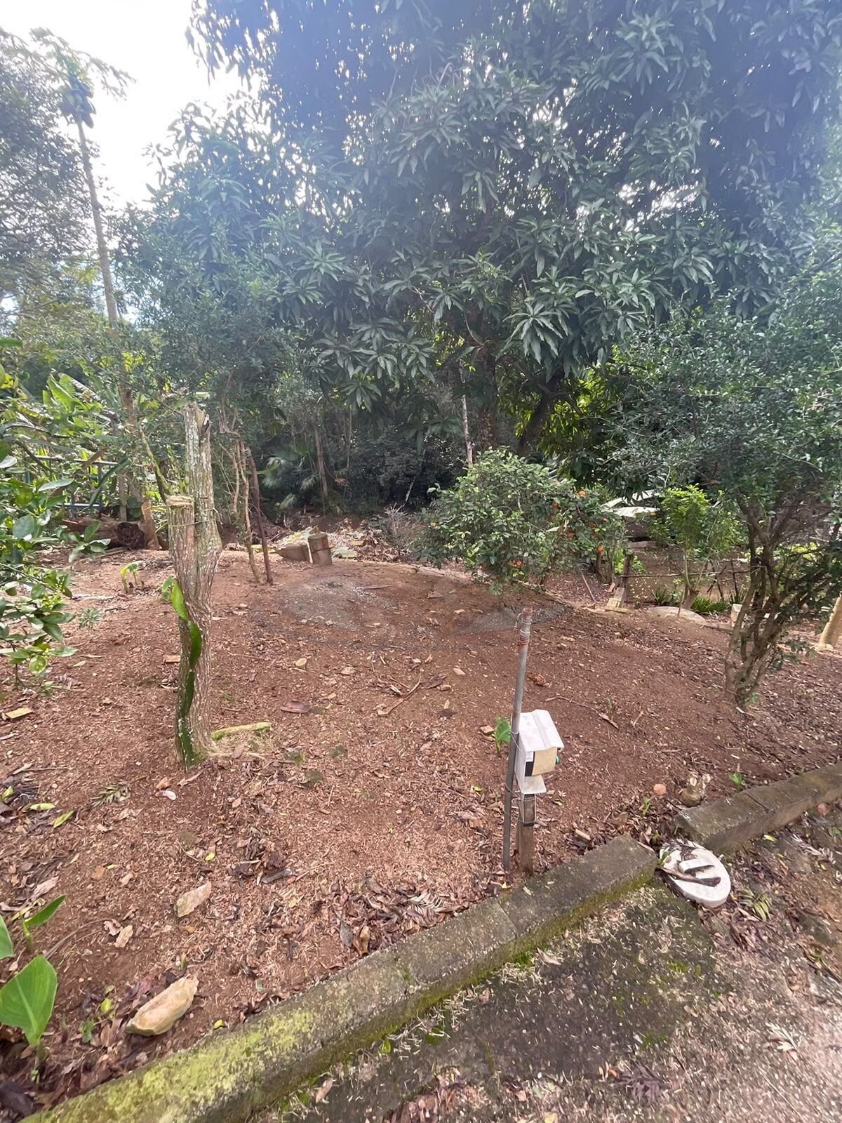 Sítio, 3 quartos, 2386 m² - Foto 24