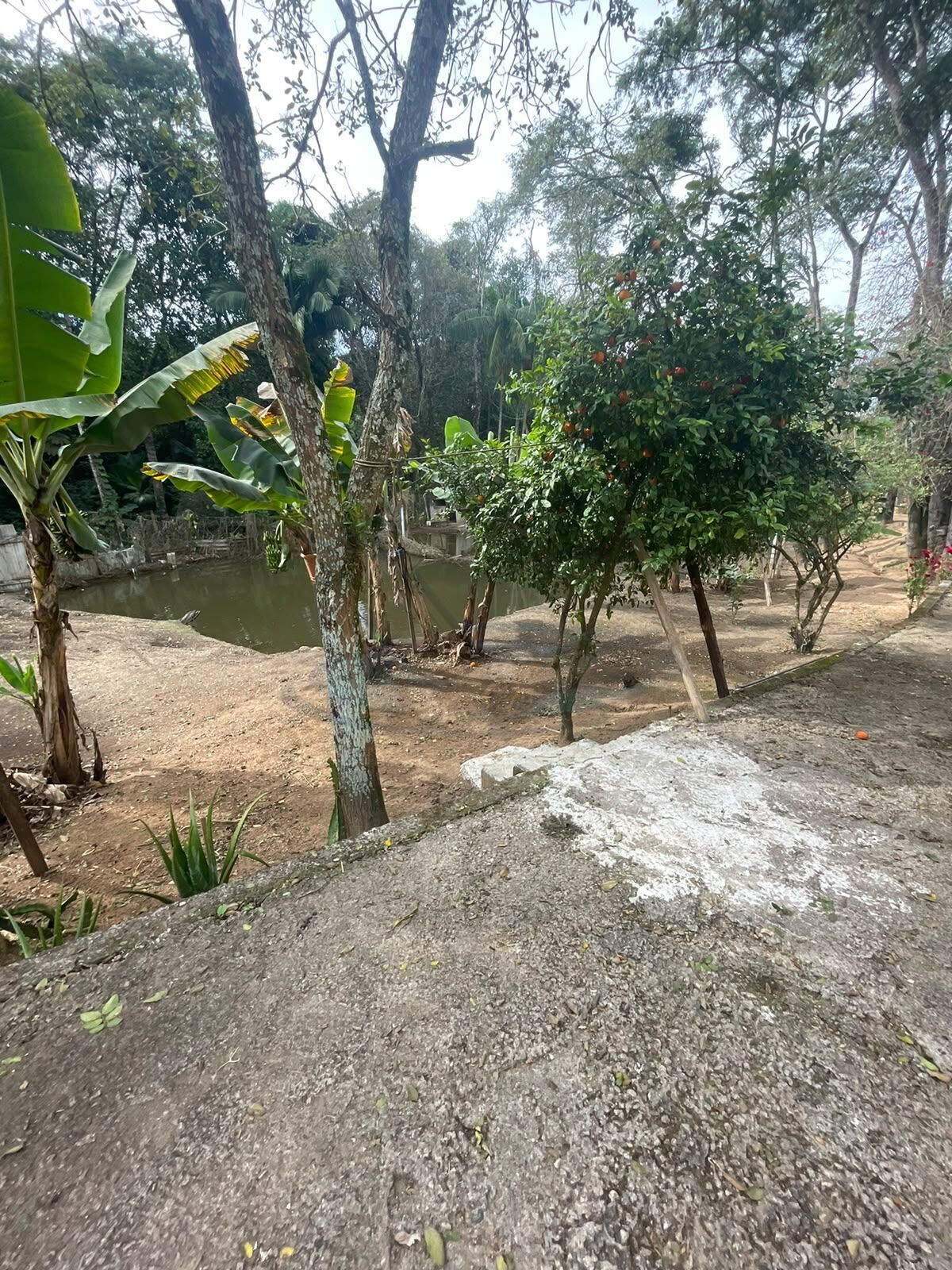 Sítio, 3 quartos, 2386 m² - Foto 21