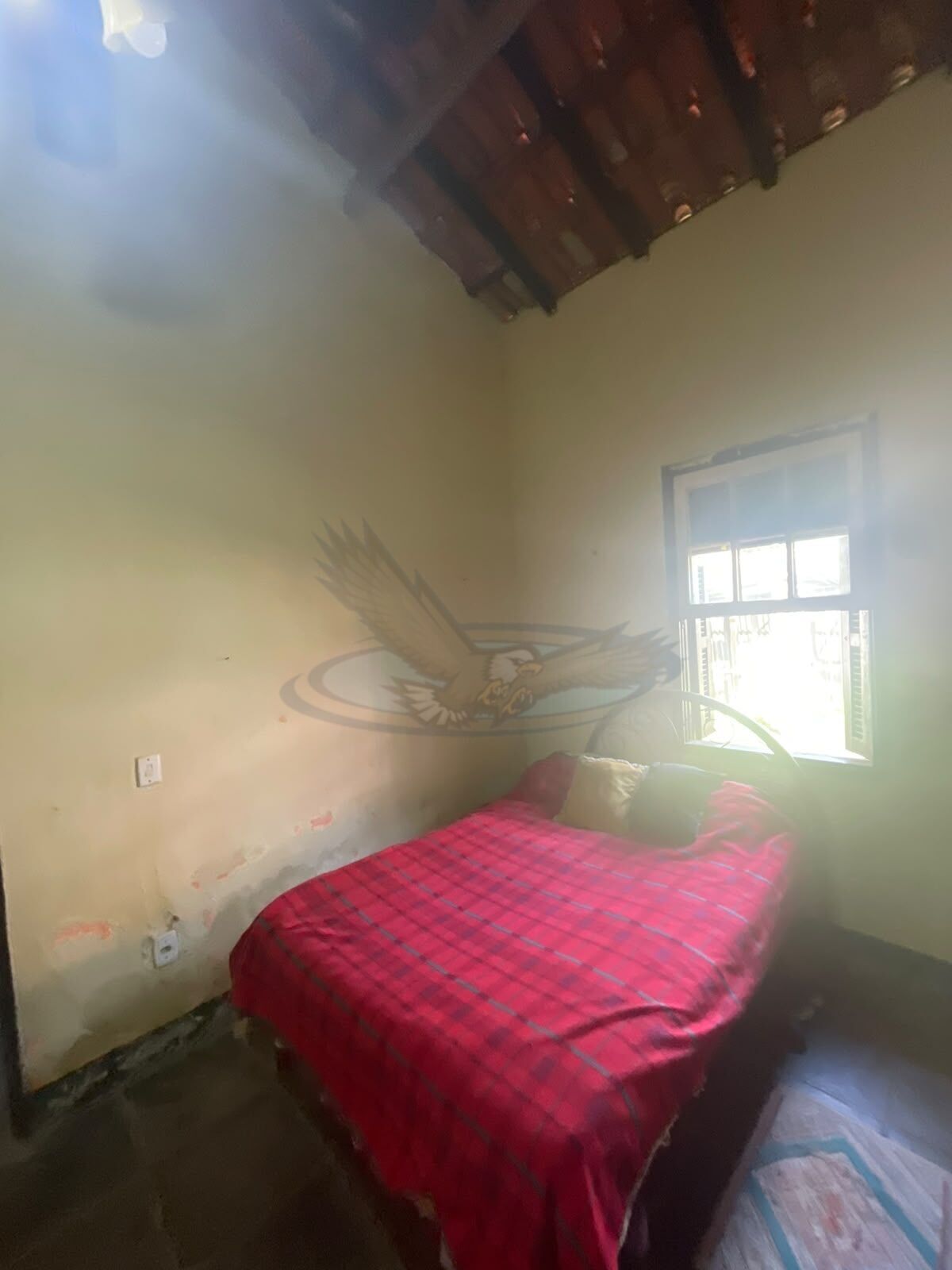 Sítio, 3 quartos, 2386 m² - Foto 7