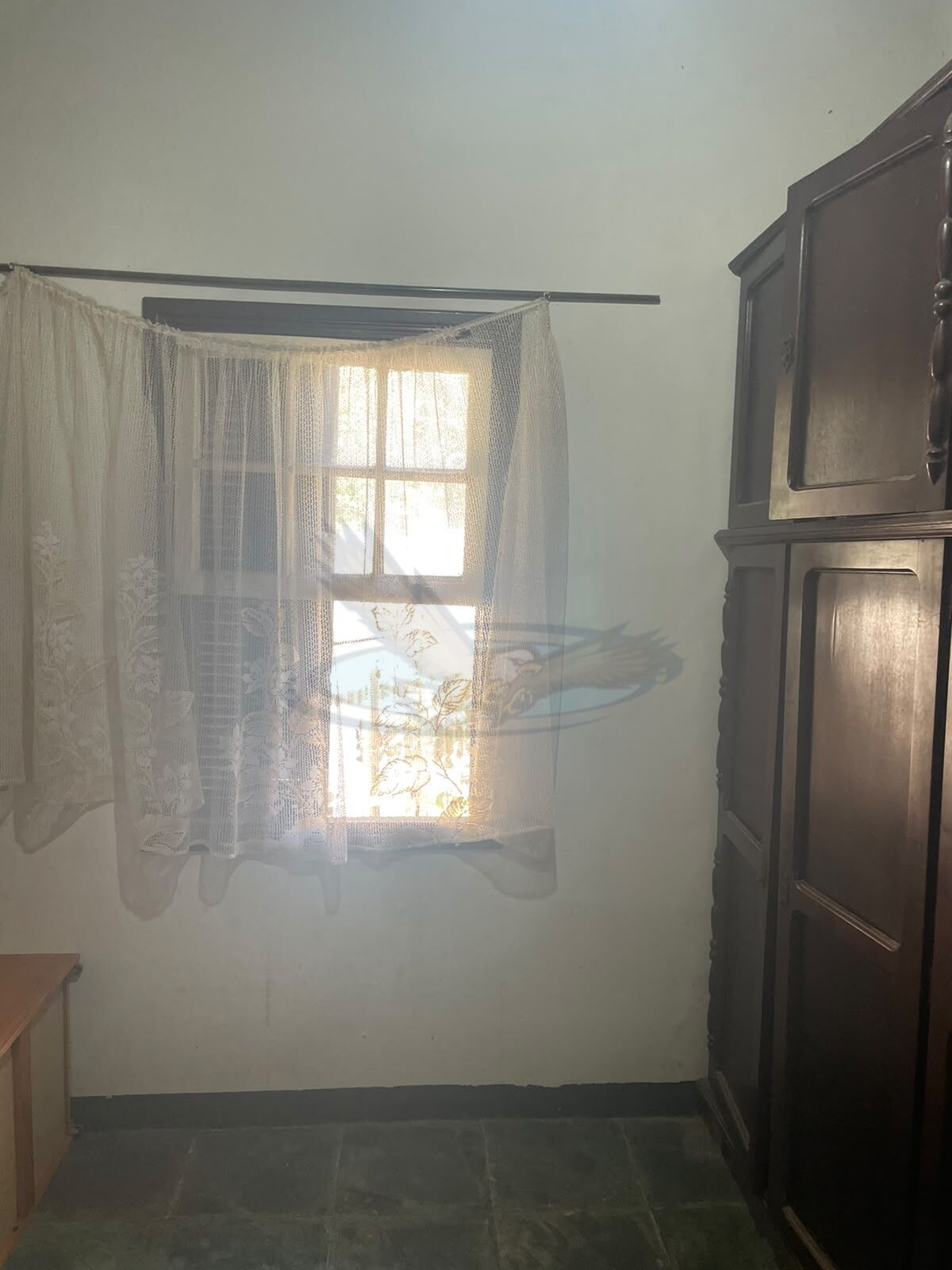 Sítio, 3 quartos, 2386 m² - Foto 5
