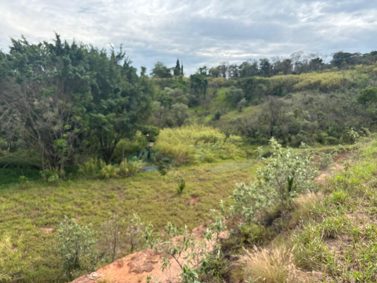 Loteamento e Condomínio, 2 hectares - Foto 11