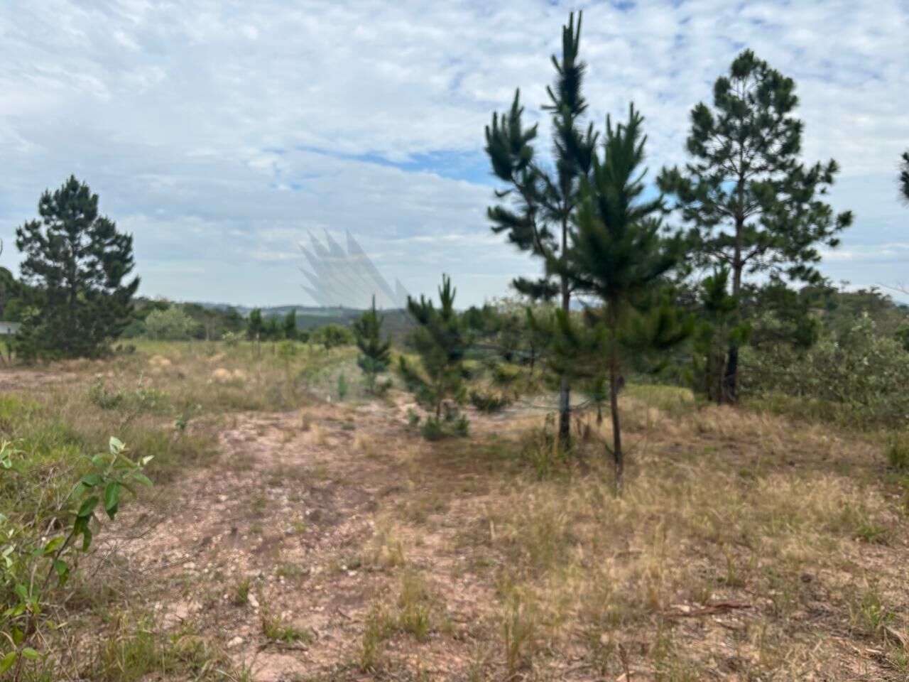 Loteamento e Condomínio, 2 hectares - Foto 6