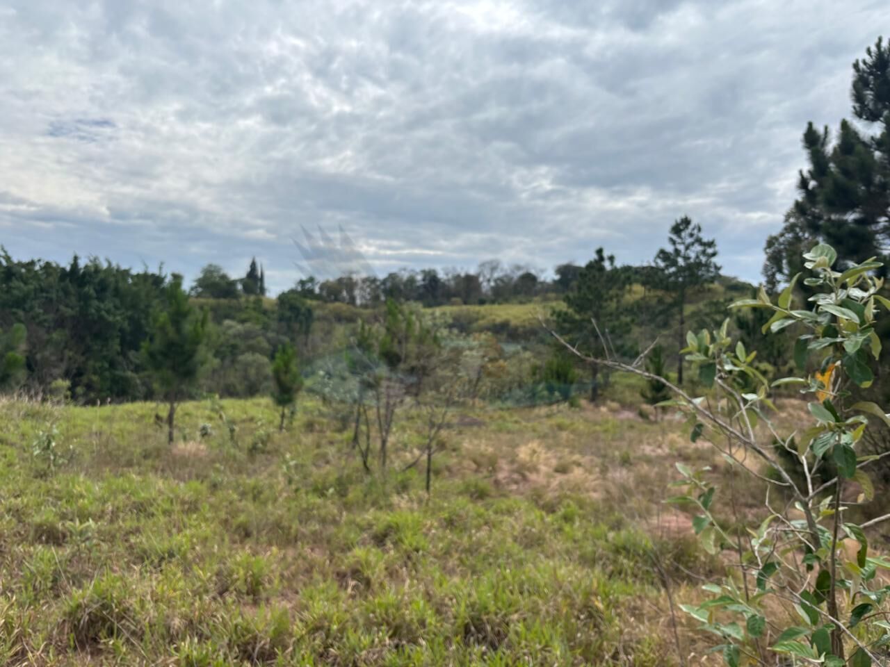 Loteamento e Condomínio, 2 hectares - Foto 7