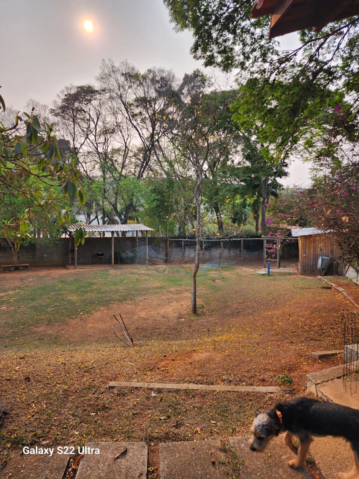 Chácara, 3 quartos, 2674 m² - Foto 6