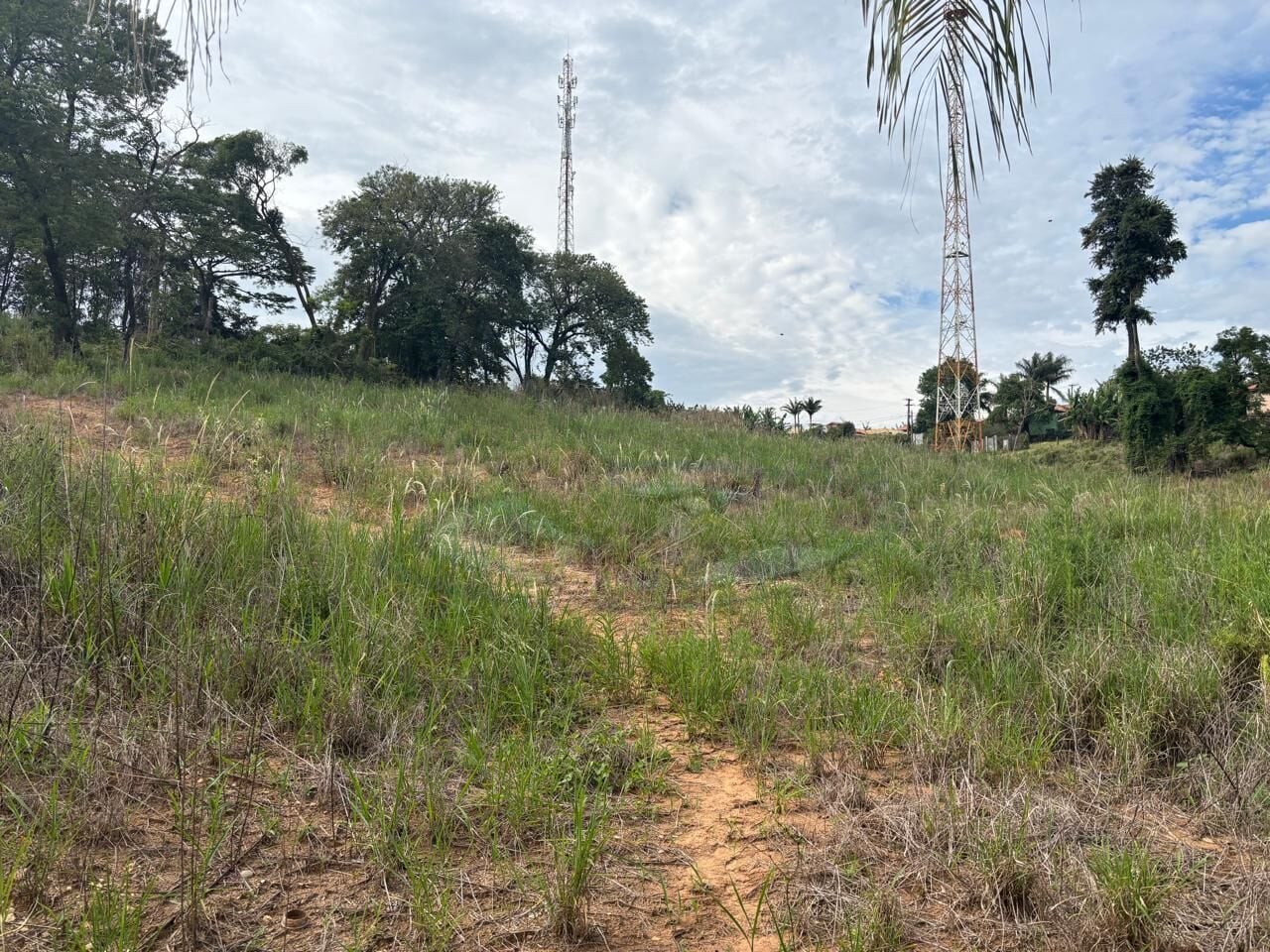 Loteamento e Condomínio, 2 hectares - Foto 2