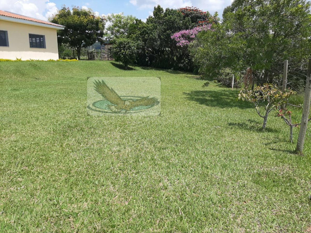 Sítio, 3 quartos, 2 hectares - Foto 4