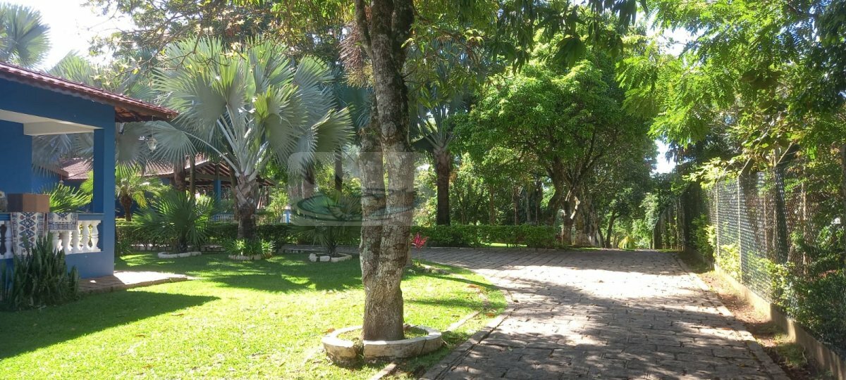 Chácara, 3 quartos, 9823 m² - Foto 9