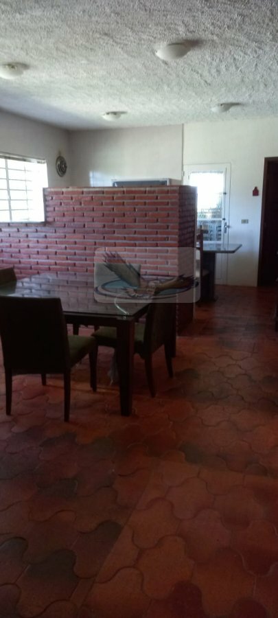 Chácara, 3 quartos, 9823 m² - Foto 15