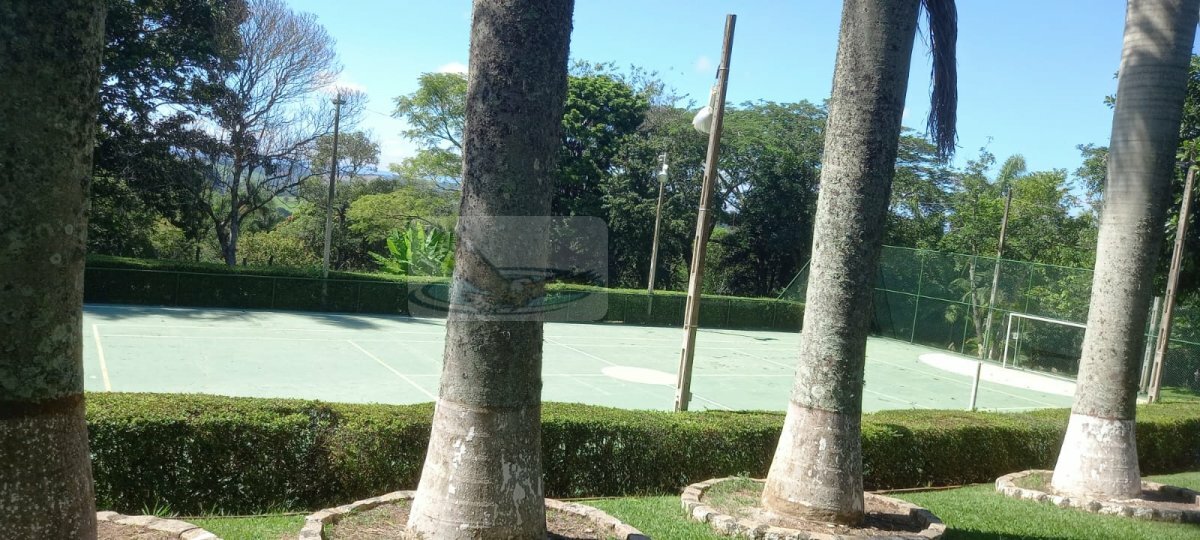 Chácara, 3 quartos, 9823 m² - Foto 18