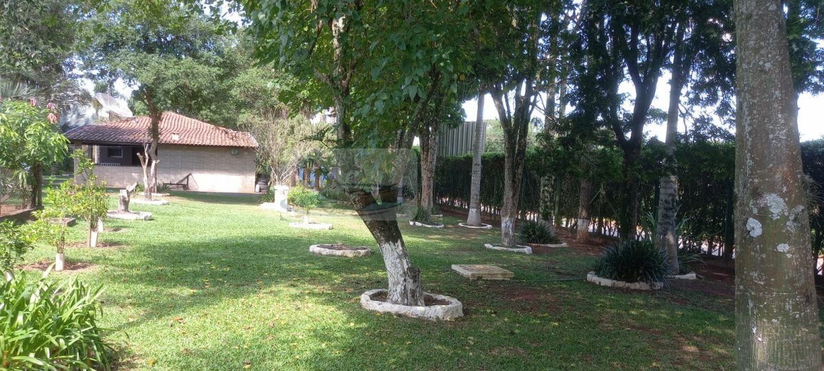 Chácara, 3 quartos, 9823 m² - Foto 30