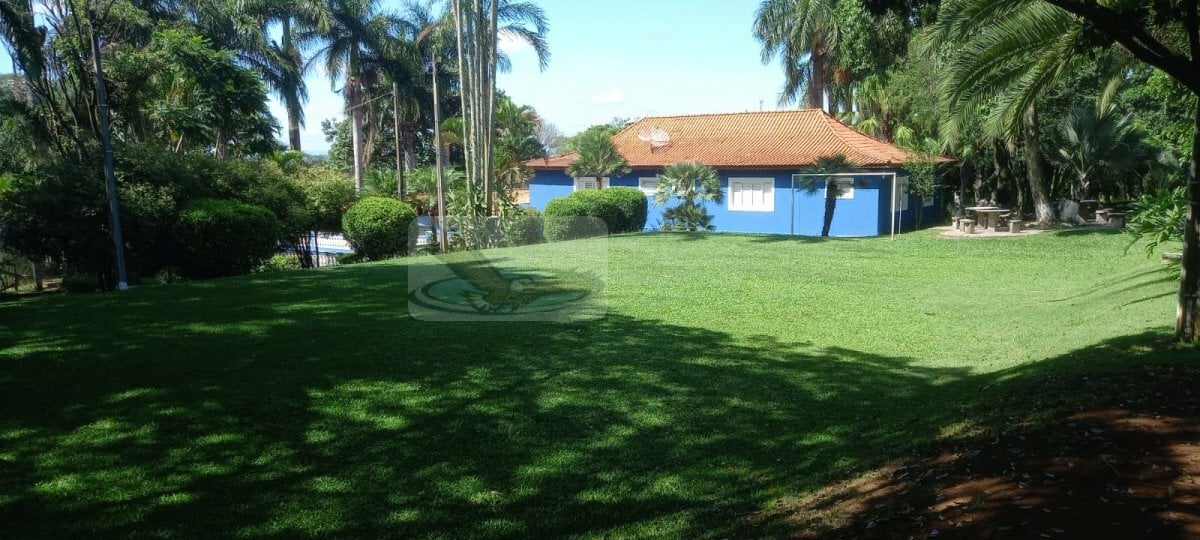 Chácara, 3 quartos, 9823 m² - Foto 4