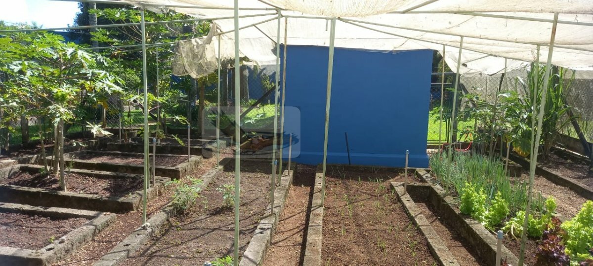 Chácara, 3 quartos, 9823 m² - Foto 13