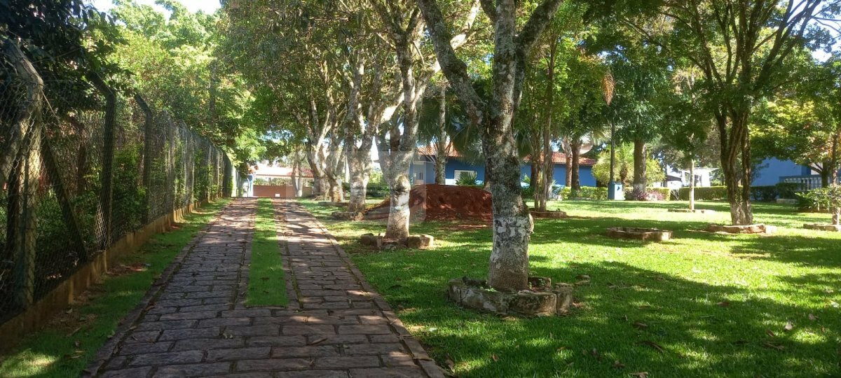 Chácara, 3 quartos, 9823 m² - Foto 20