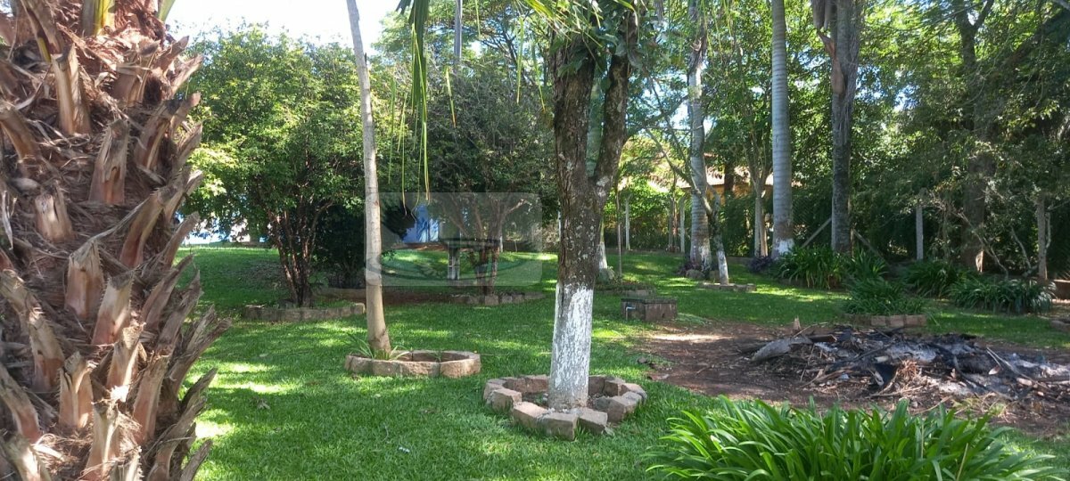 Chácara, 3 quartos, 9823 m² - Foto 6
