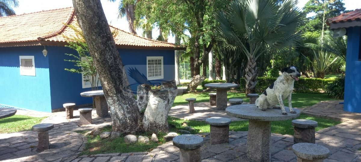 Chácara, 3 quartos, 9823 m² - Foto 26