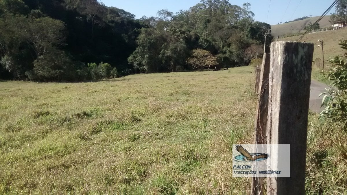 Terreno, 2 hectares - Foto 4