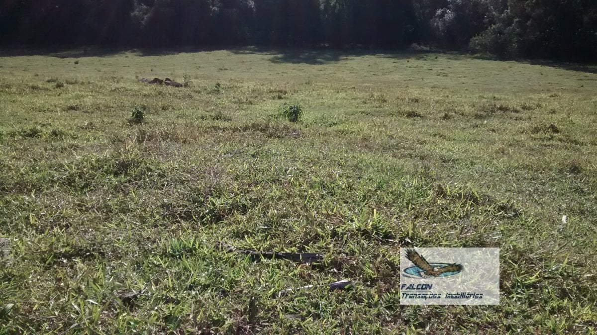 Terreno, 2 hectares - Foto 1