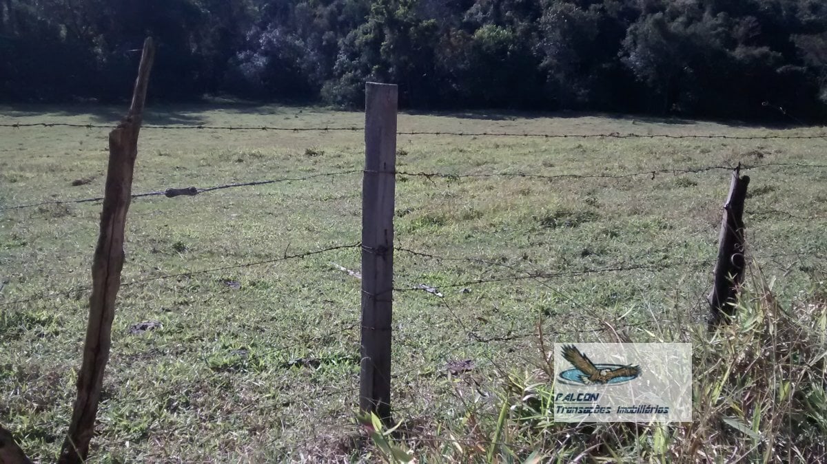Terreno, 2 hectares - Foto 2
