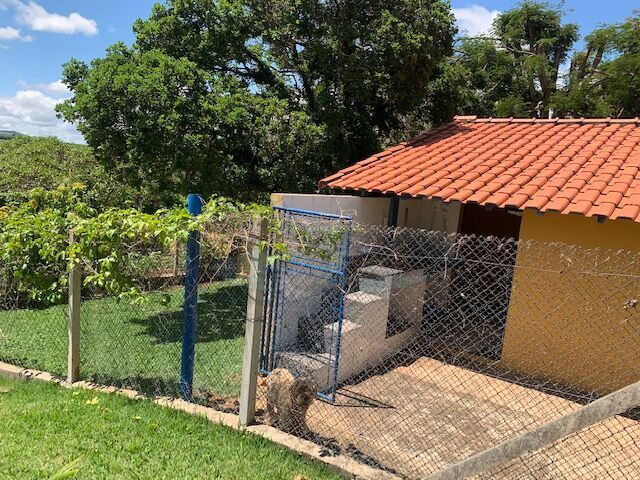 Sítio, 3 quartos, 1615 m² - Foto 25
