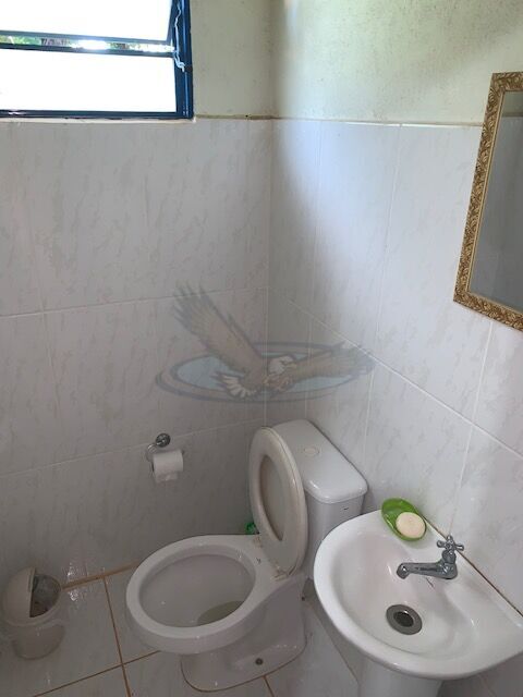 Sítio, 3 quartos, 1615 m² - Foto 18
