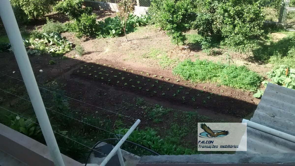 Sítio, 5 quartos, 1000 m² - Foto 10