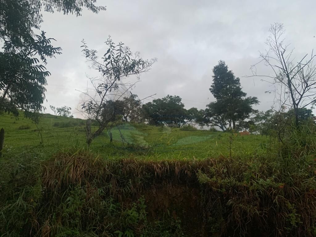 Sítio, 3 quartos, 16 hectares - Foto 22