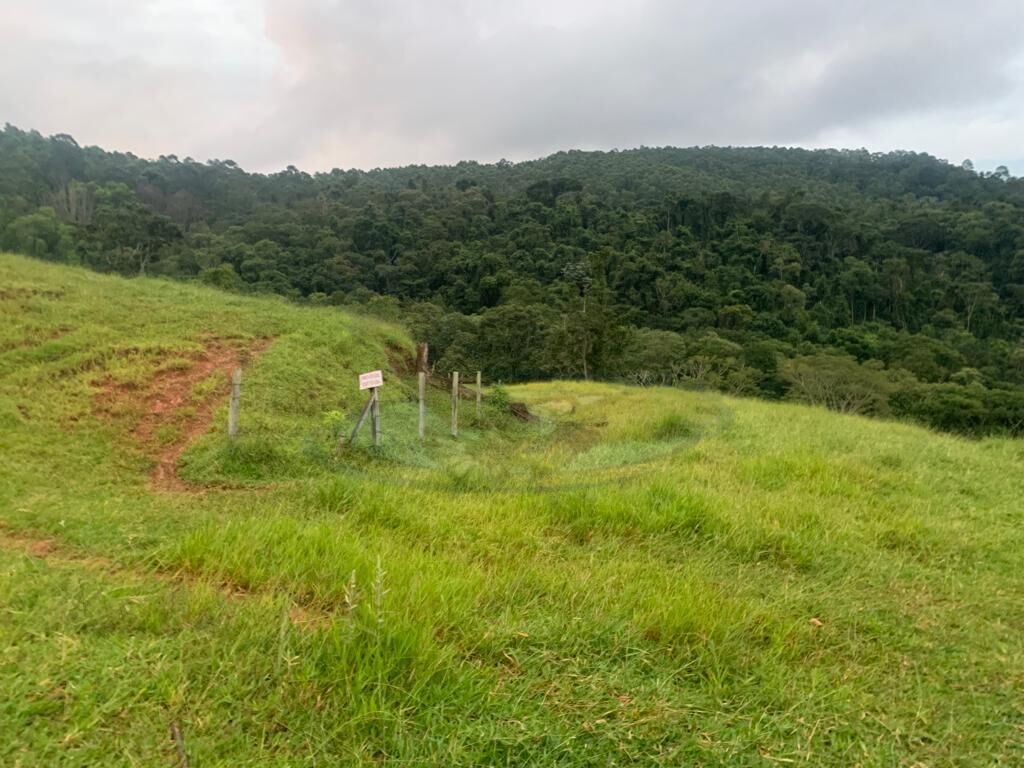 Sítio, 3 quartos, 16 hectares - Foto 18