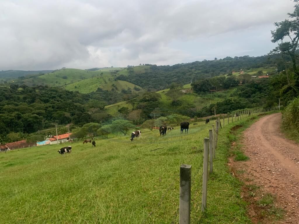 Sítio, 3 quartos, 16 hectares - Foto 16
