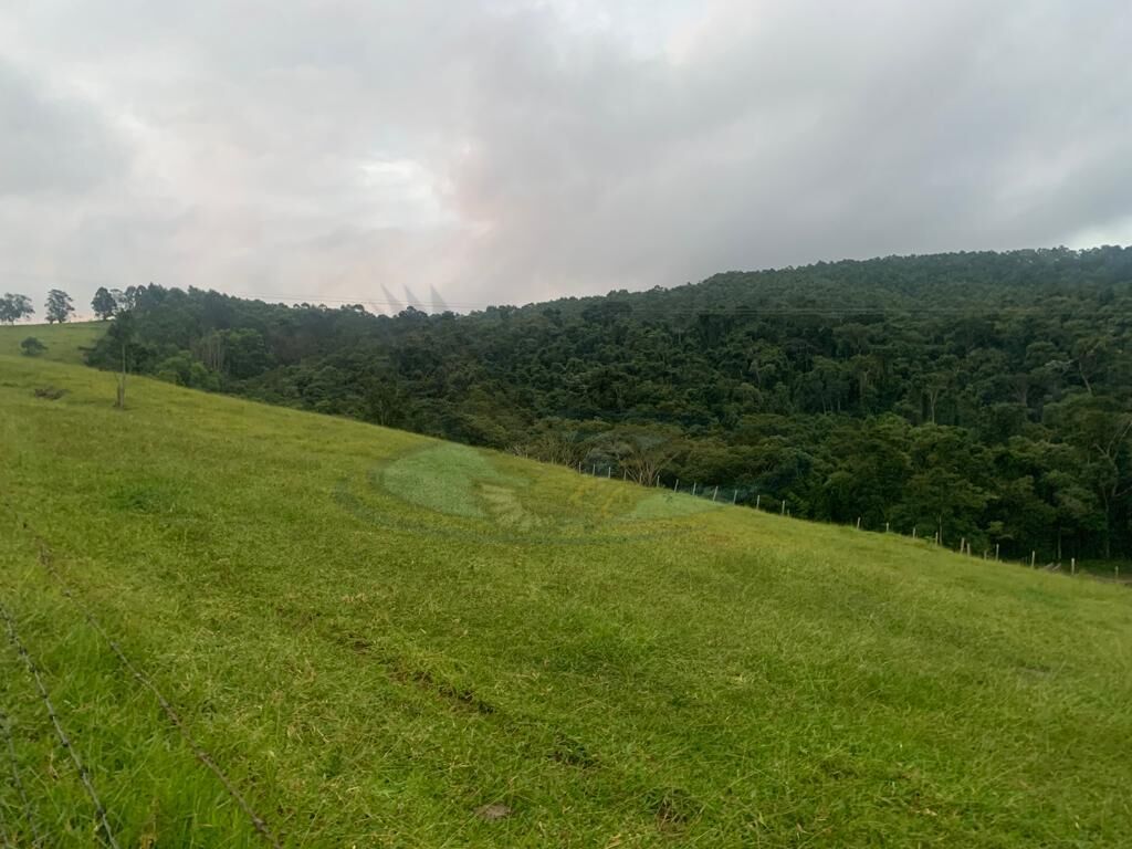 Sítio, 3 quartos, 16 hectares - Foto 14