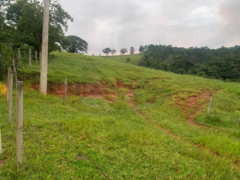 Sítio, 3 quartos, 16 hectares - Foto 19